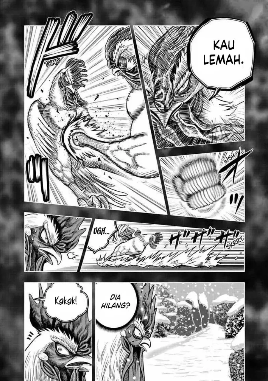 Chapter 56 - halaman 22