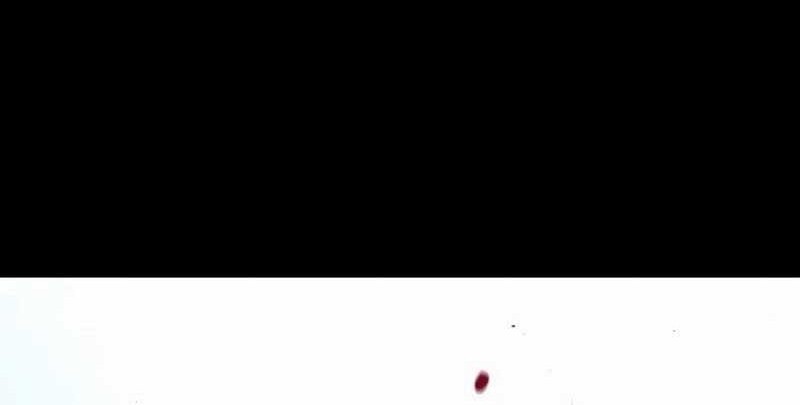 Chapter 32 - halaman 93