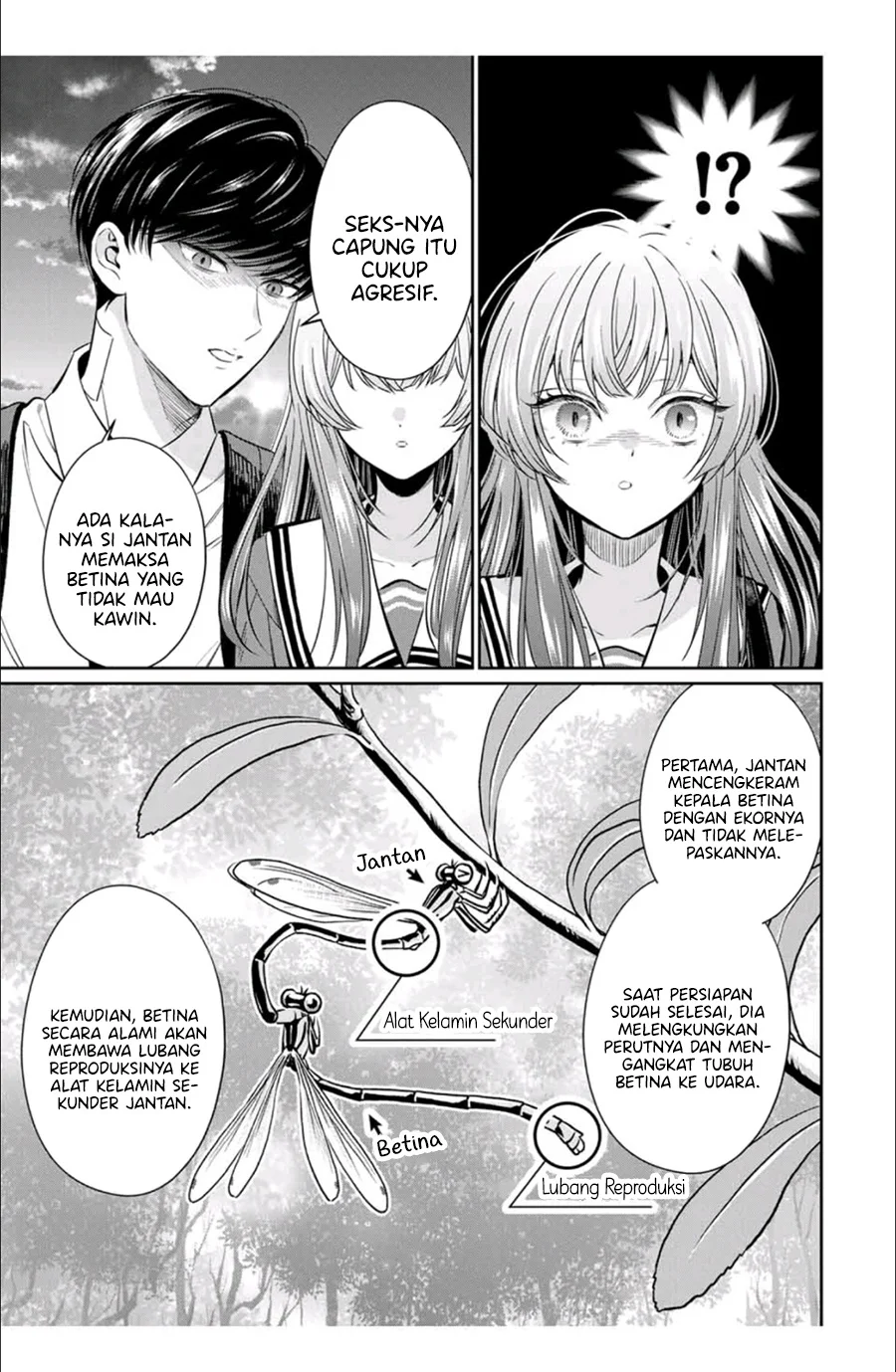 Chapter 2 - halaman 19