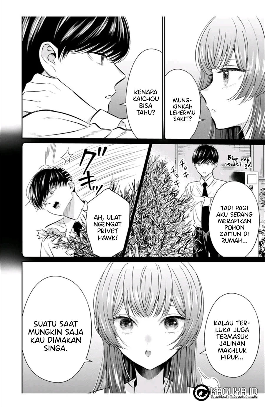 Chapter 2 - halaman 8