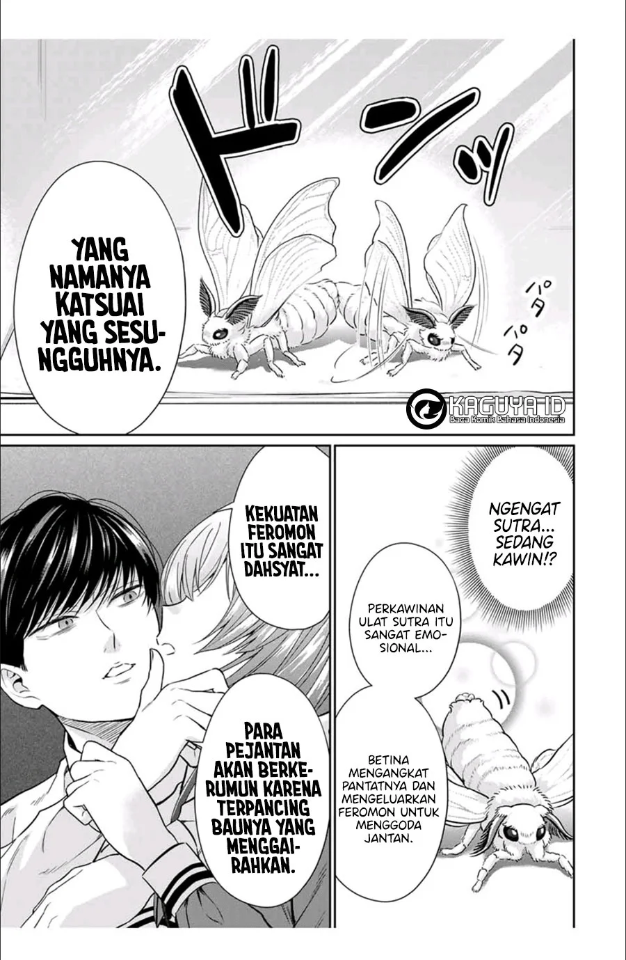 Chapter 3 - halaman 17