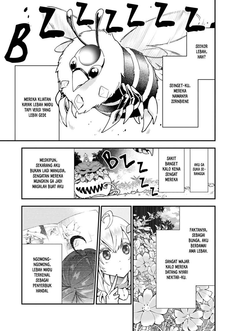 Chapter 2 - halaman 11