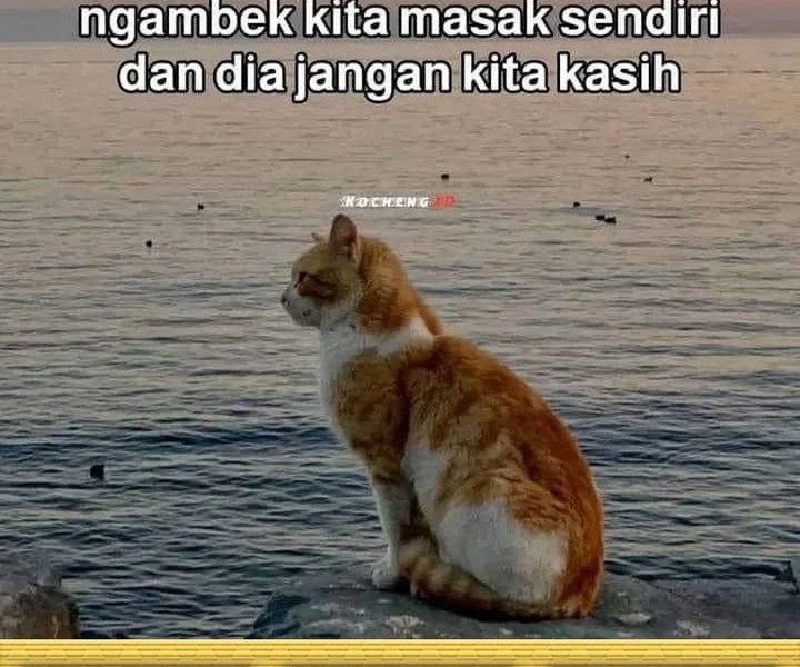 Chapter 129 - halaman 73