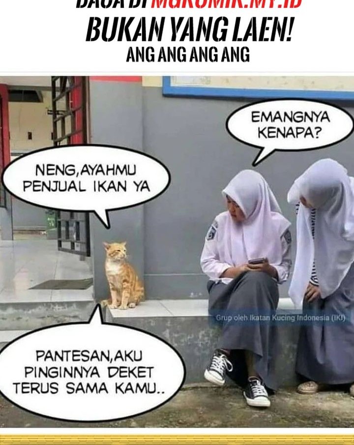 Chapter 48 - halaman 77