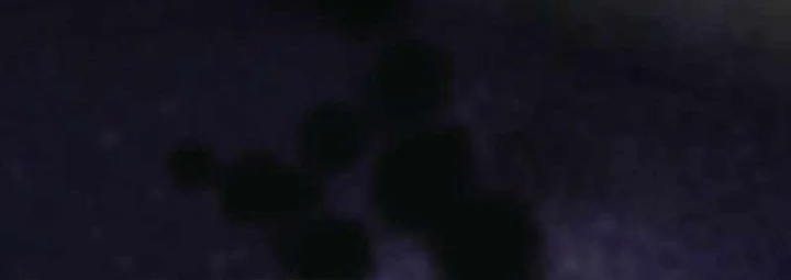 Chapter 88 - halaman 31