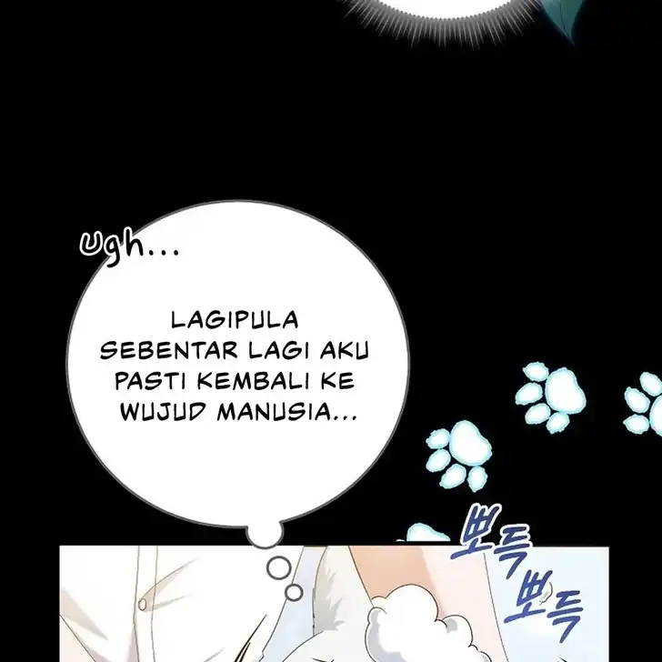 Chapter 7 - halaman 62