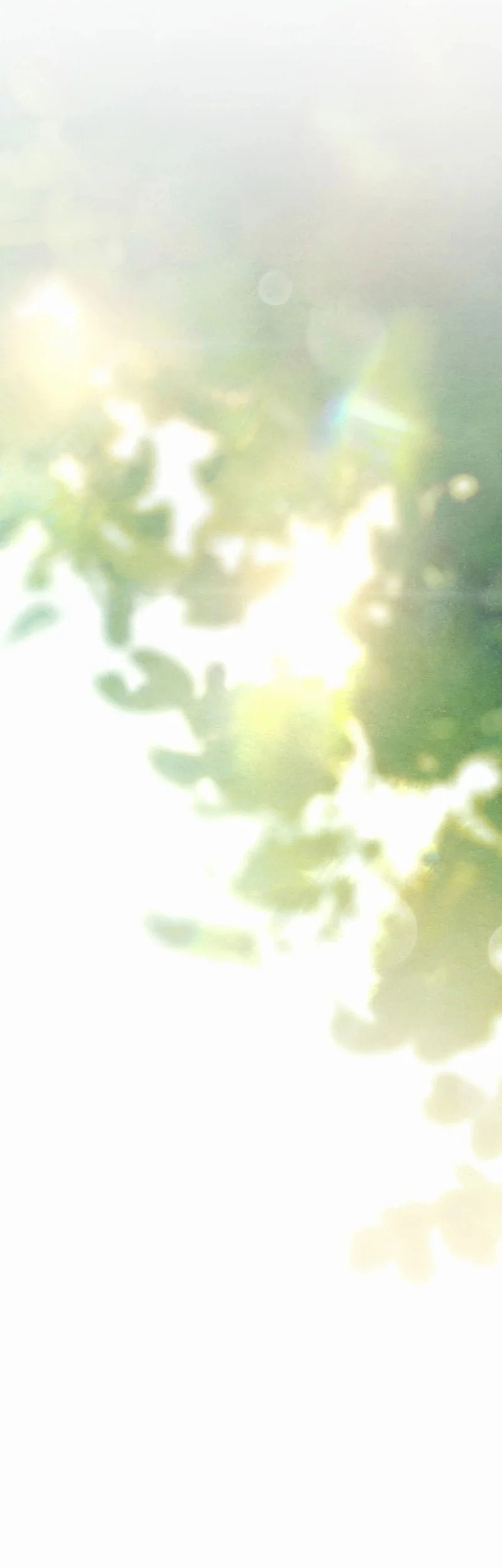 Chapter 17 - halaman 44