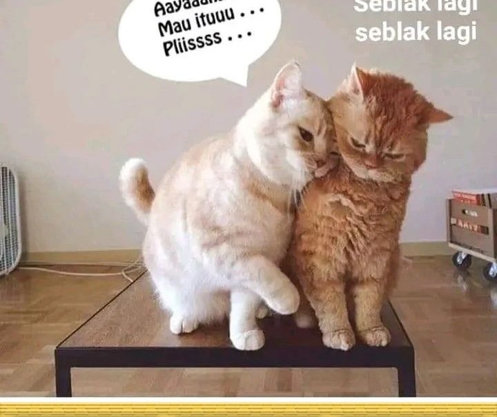 Chapter 14 - halaman 78