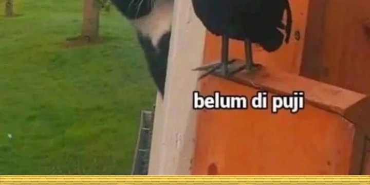 Chapter 41 - halaman 86