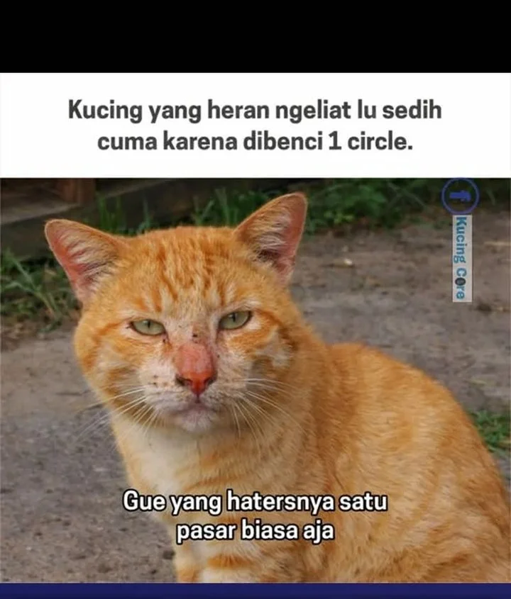 Chapter 168 - halaman 105