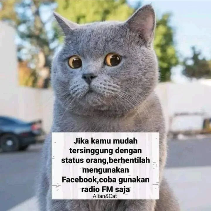 Chapter 181 - halaman 97