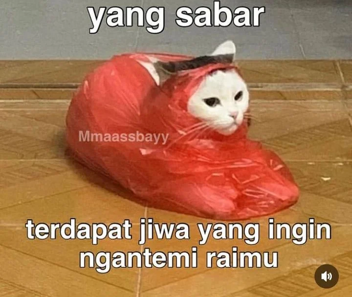 Chapter 187 - halaman 93