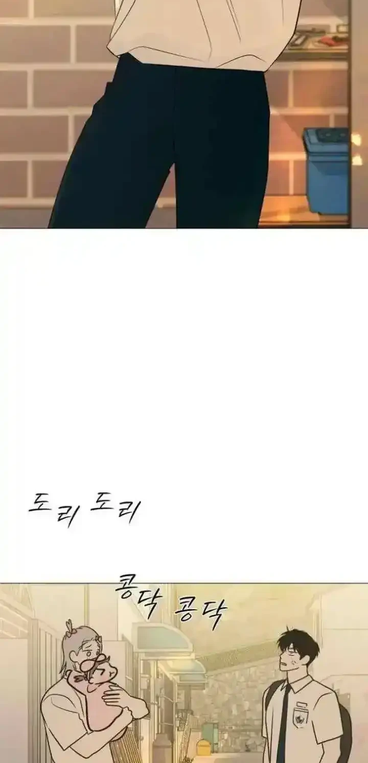 Chapter 31 - halaman 29
