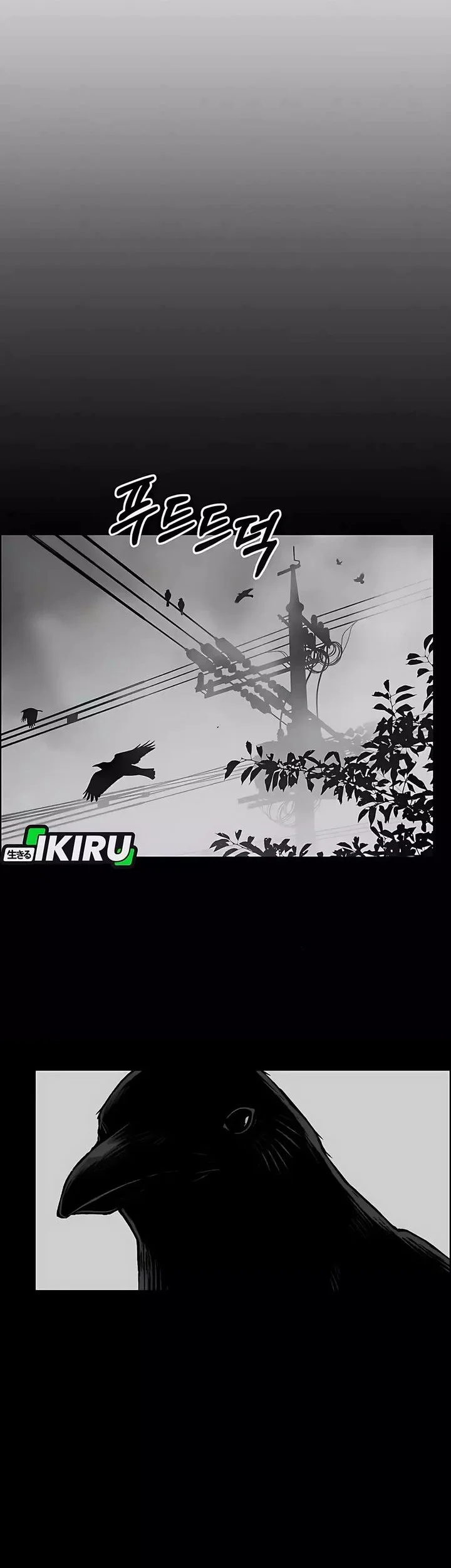 Chapter 247 - halaman 9