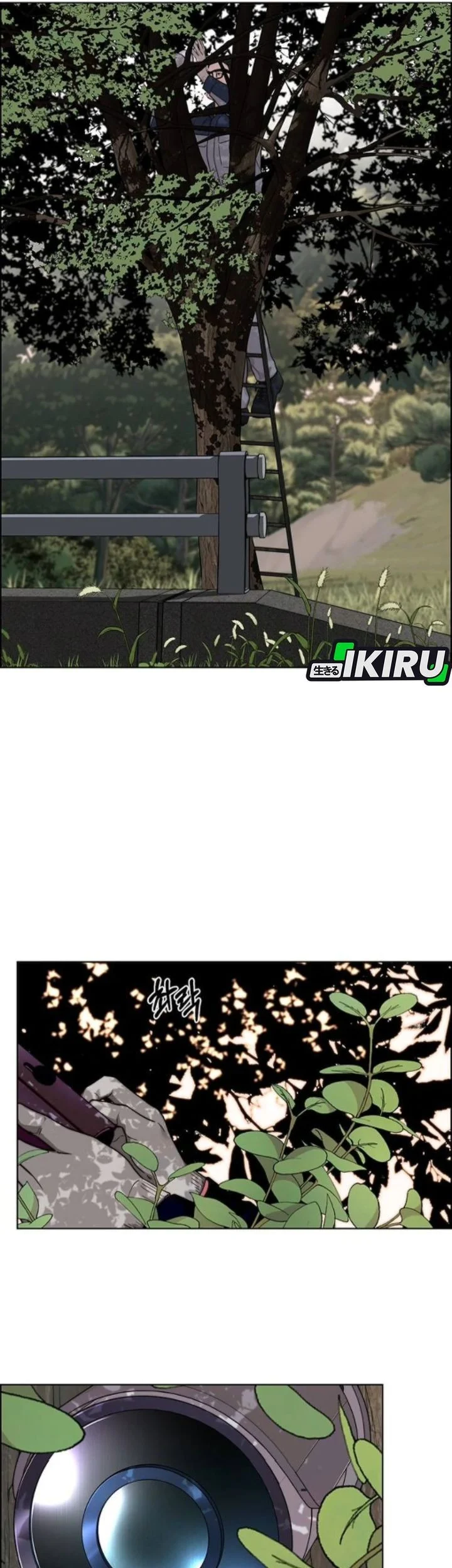 Chapter 259 - halaman 20