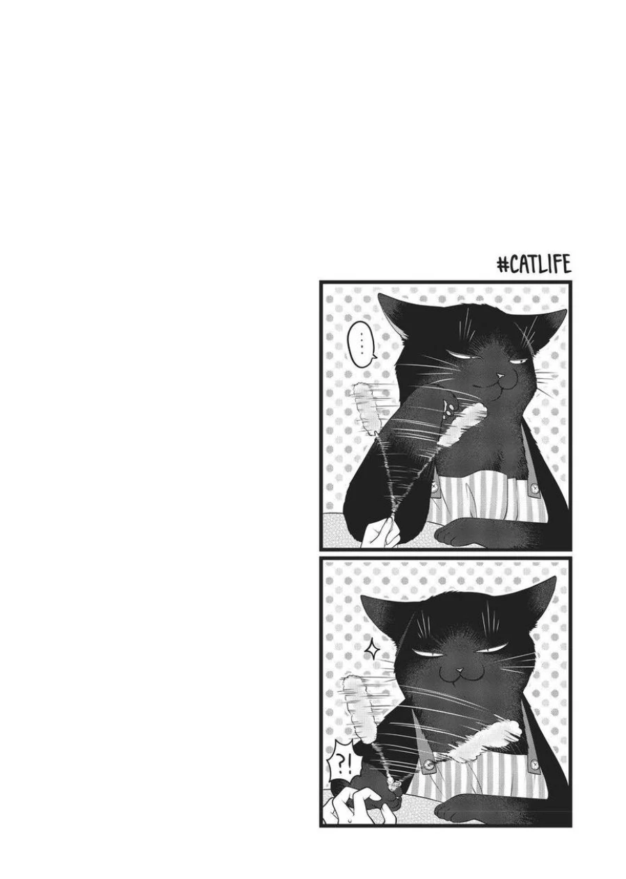 Chapter 25 - halaman 13