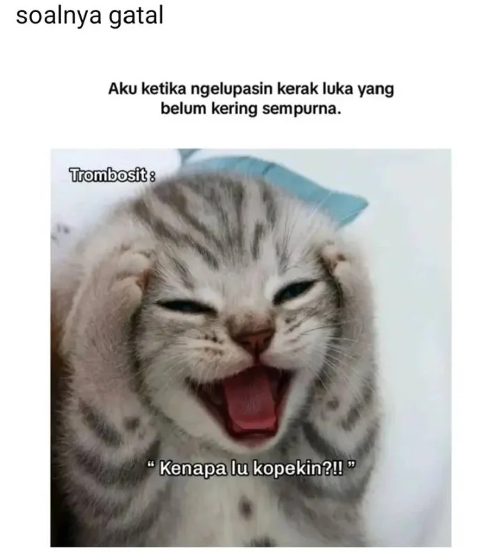 Chapter 5 - halaman 65