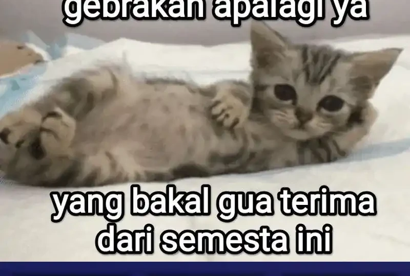 Chapter 14 - halaman 36
