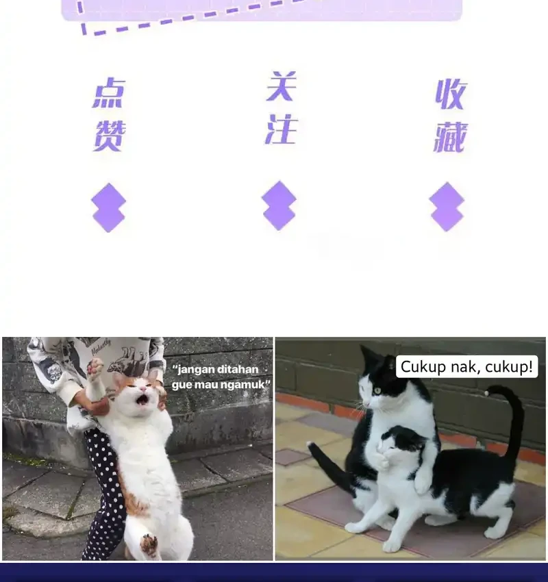 Chapter 180 - halaman 29