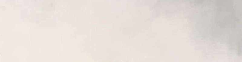 Chapter 103 - halaman 12