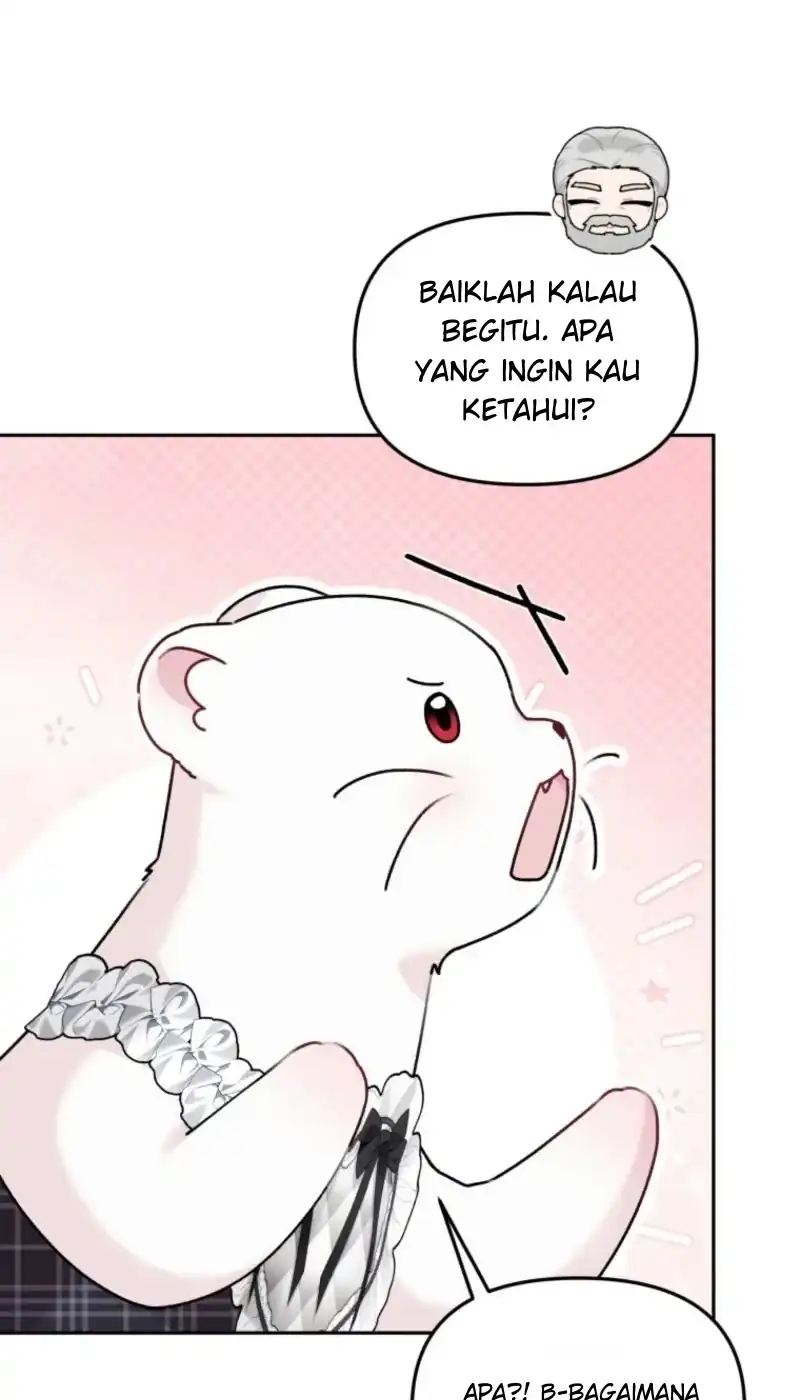 Chapter 63 - halaman 29