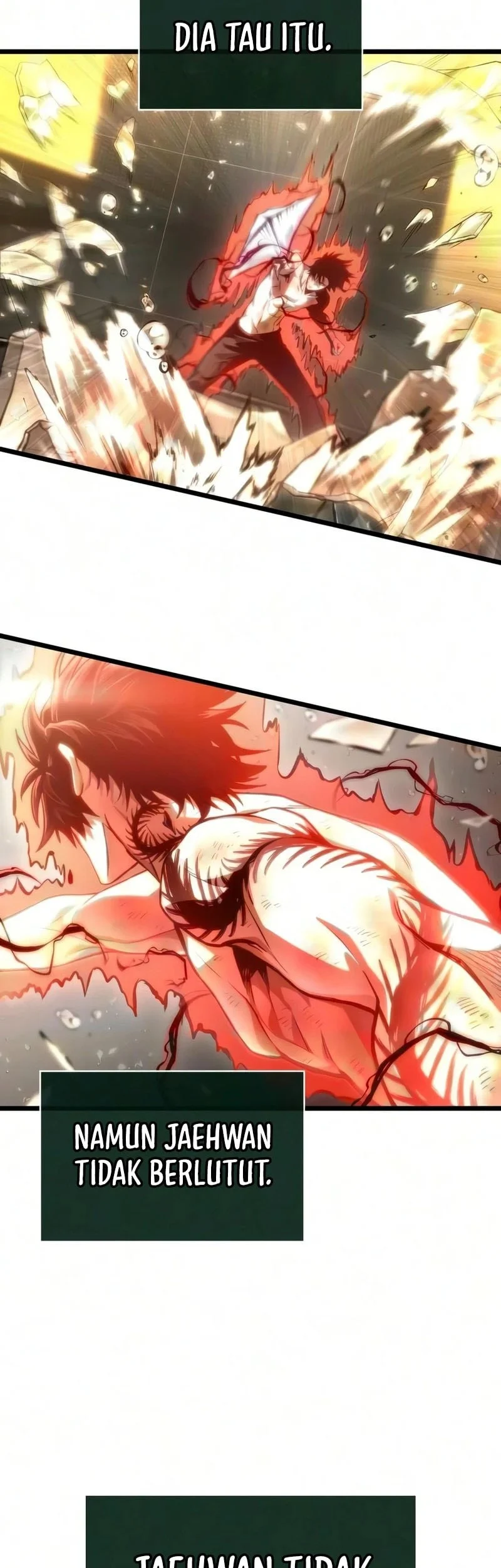 Chapter 241 - halaman 67