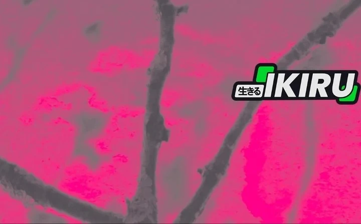 Chapter 66 - halaman 72