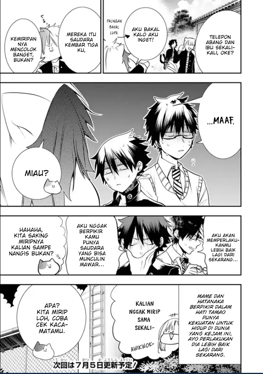 Chapter 4 - halaman 8