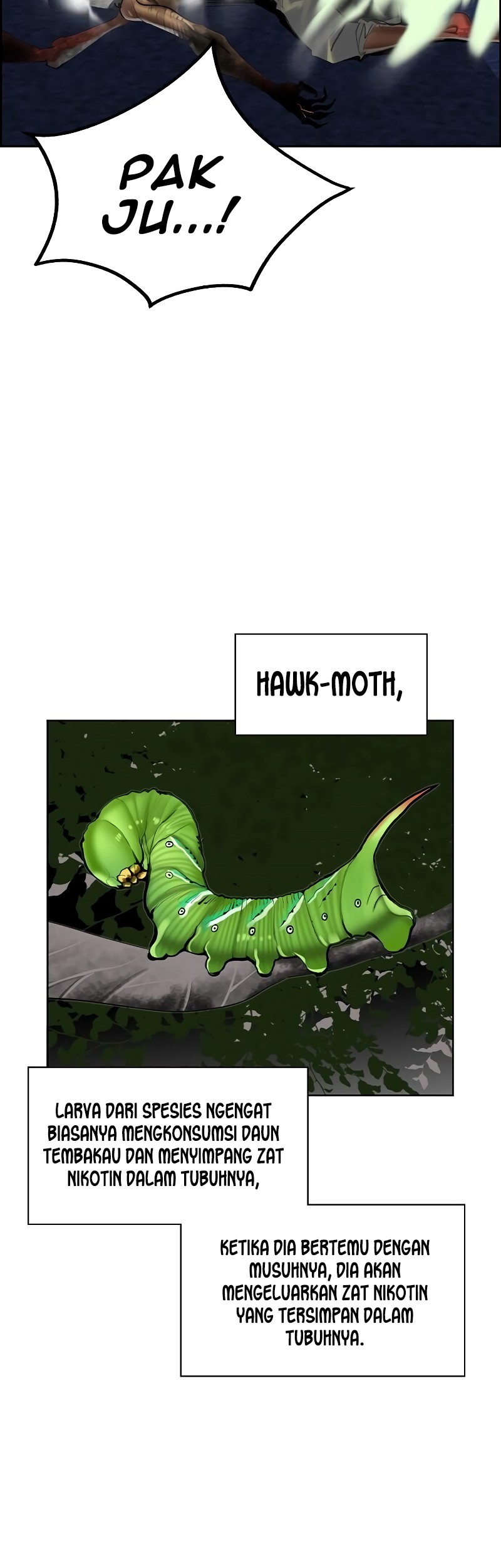 Chapter 41 - halaman 17