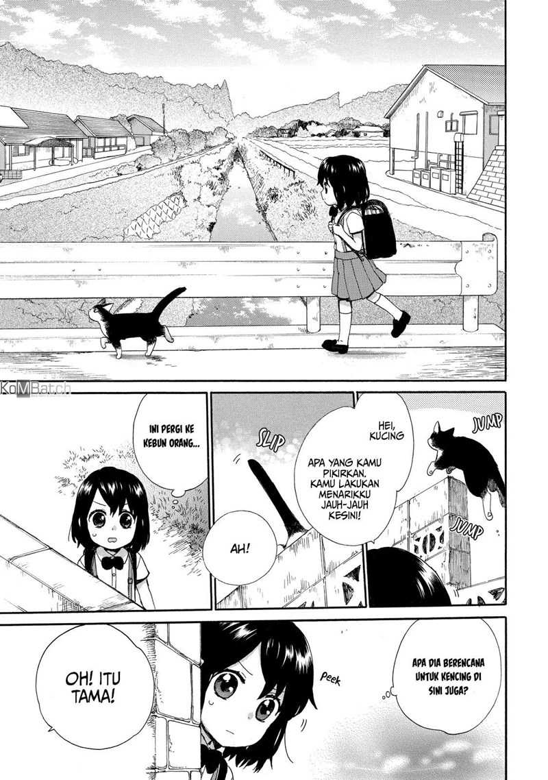 Chapter 30 - halaman 12