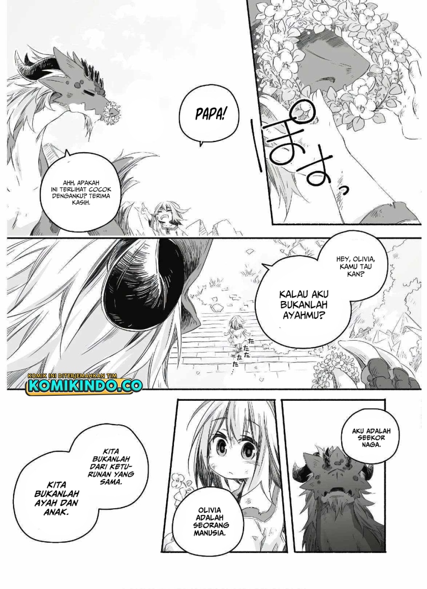 Chapter 1.1 - halaman 15