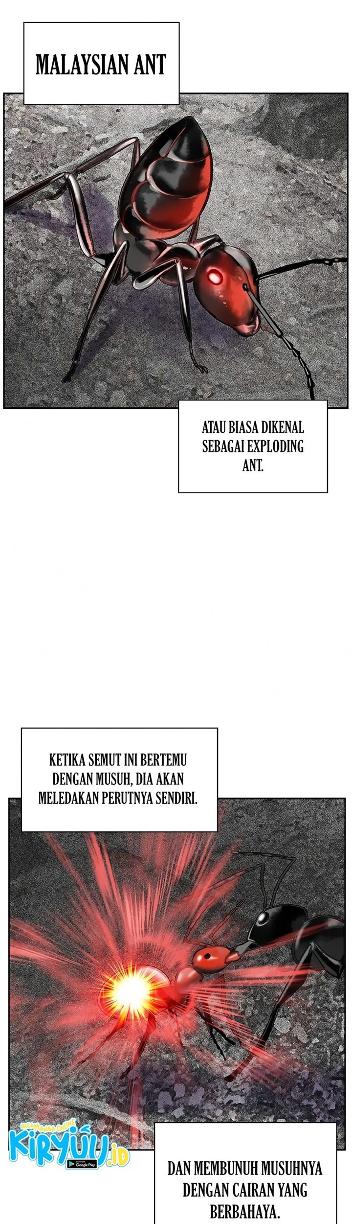 Chapter 56 - halaman 17