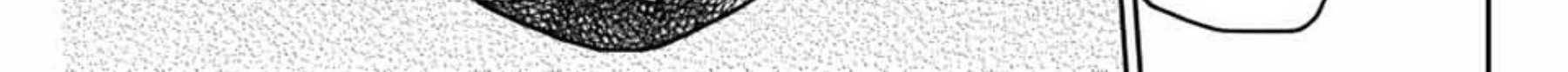 Chapter 37 - halaman 8