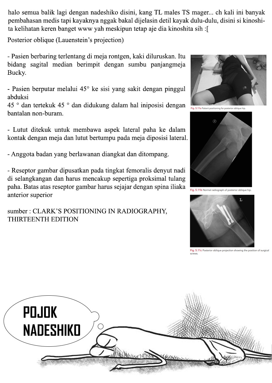 Chapter 63 - halaman 22