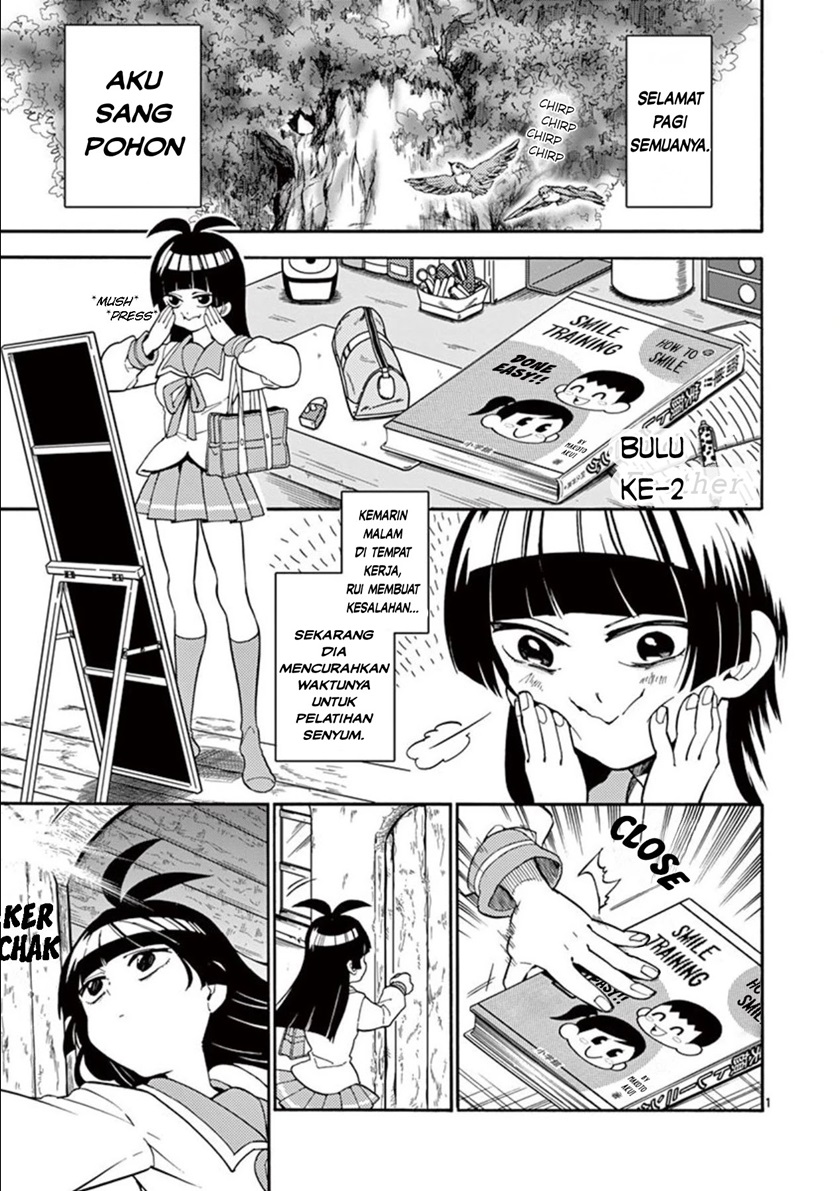 Chapter 2 - halaman 3