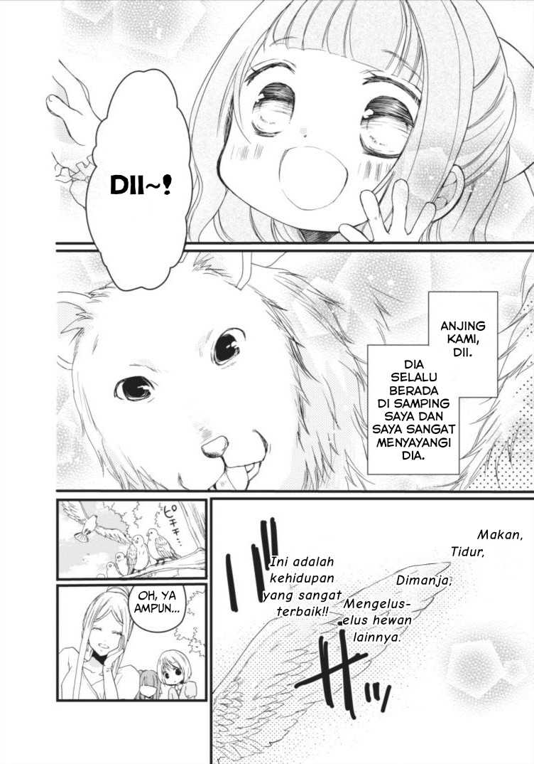 Chapter 1.1 - halaman 14