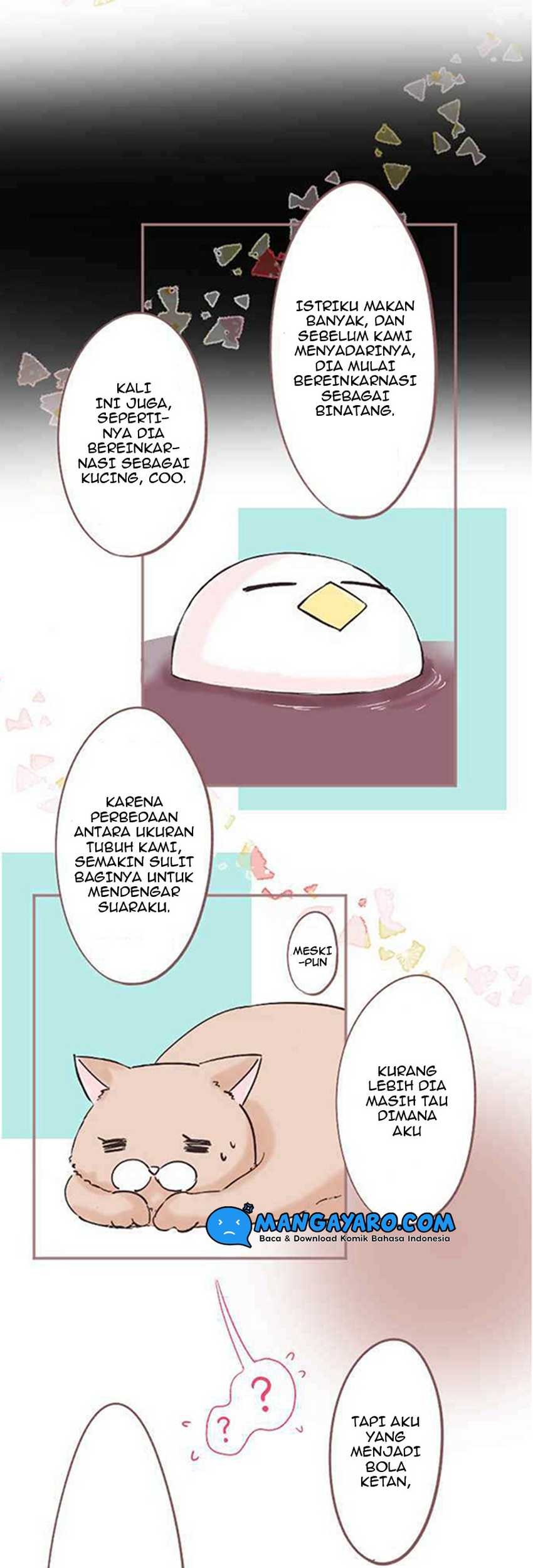 Chapter 7 - halaman 17