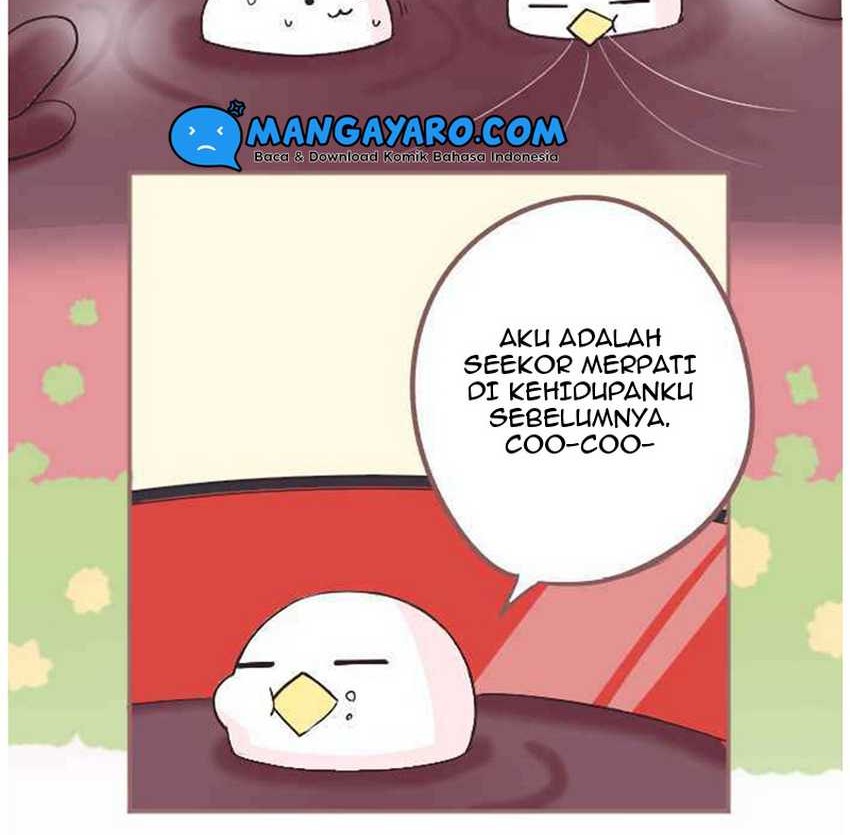 Chapter 6 - halaman 14