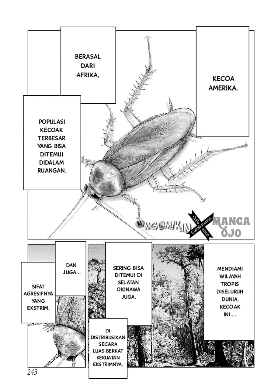 Chapter 2 - halaman 16