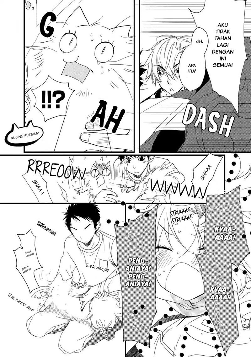 Chapter 2 - halaman 6