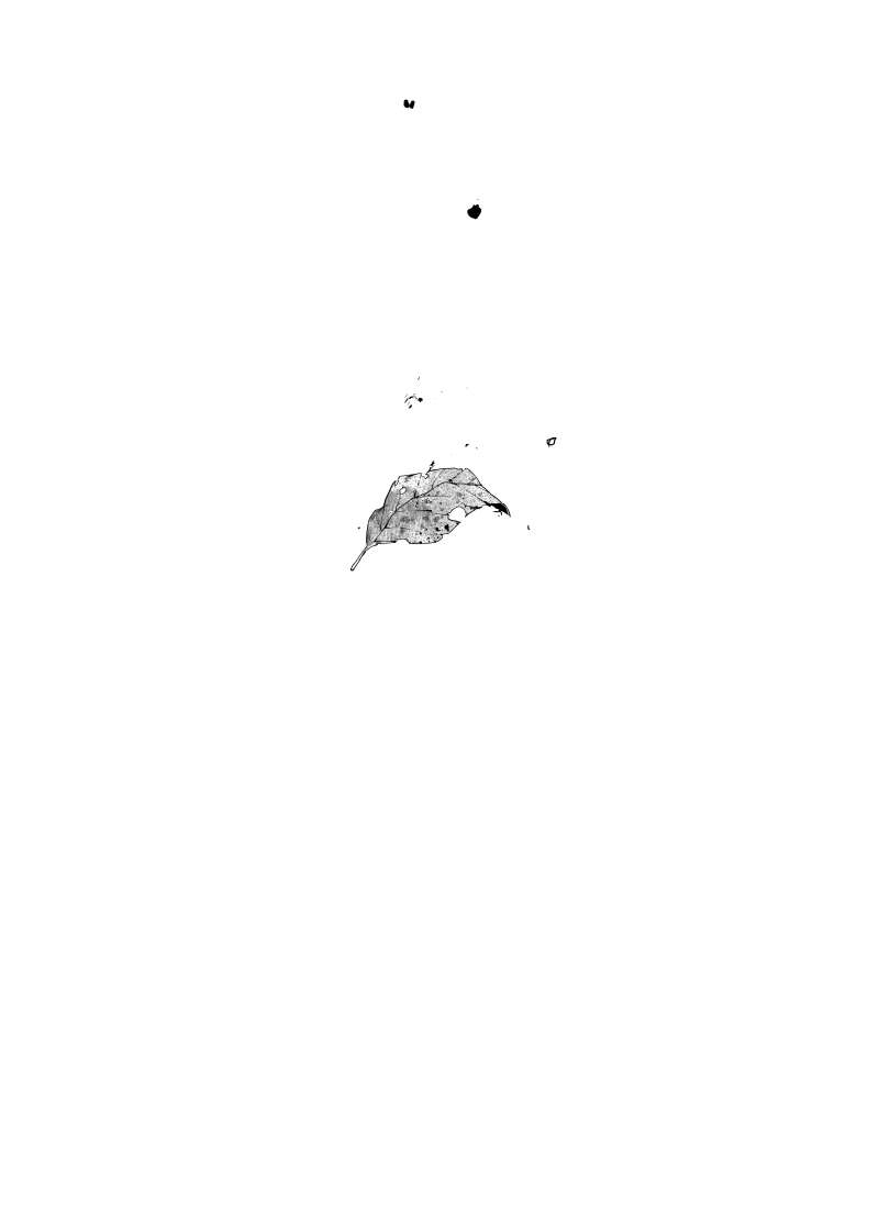 Chapter 4.2 - halaman 26