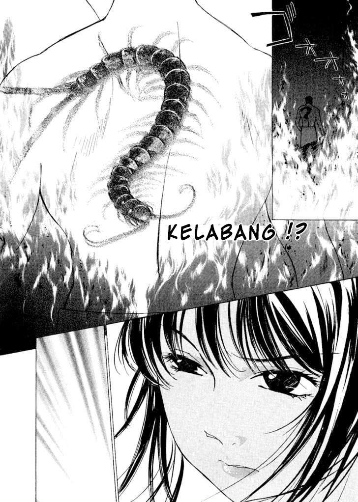 Chapter 2 - halaman 5