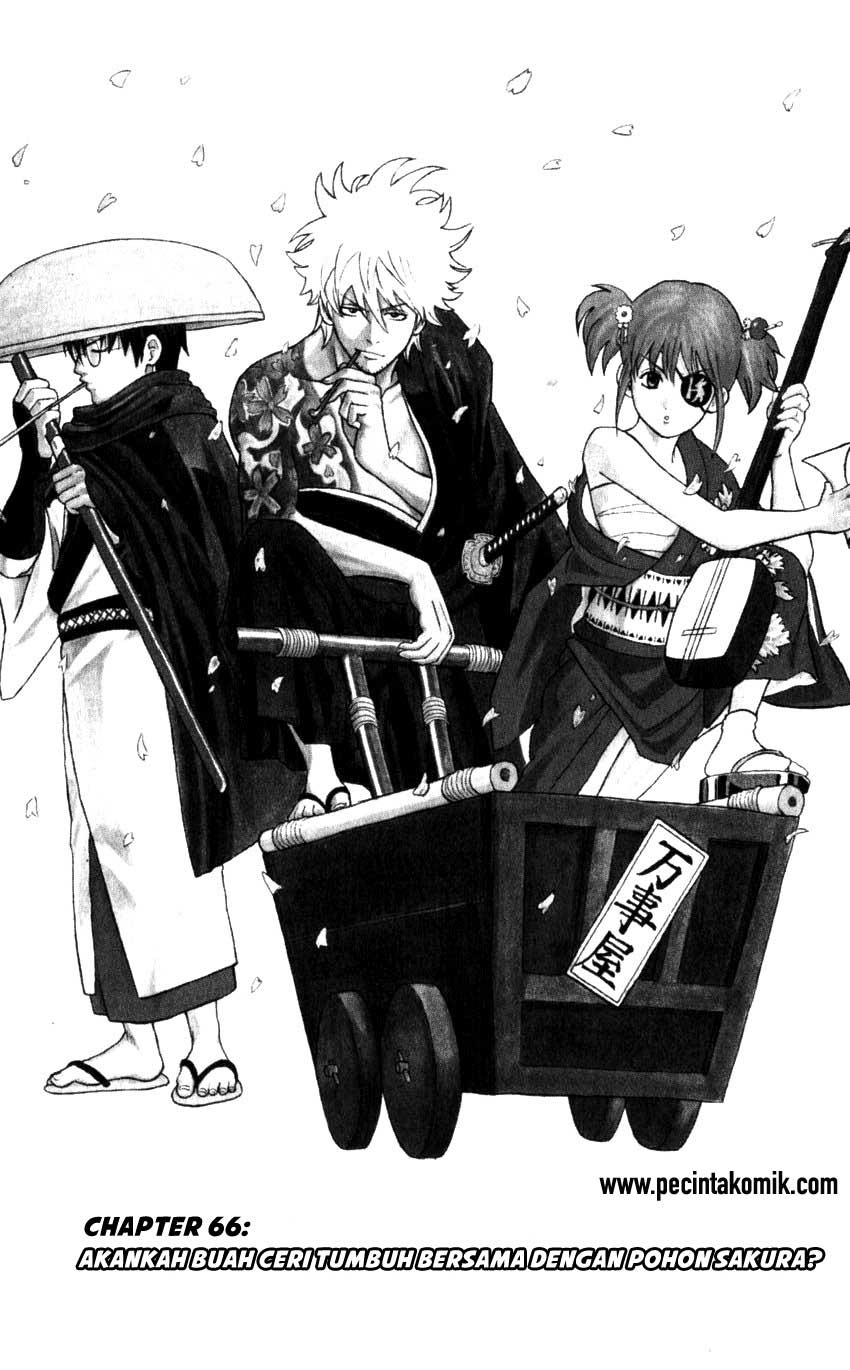 Chapter 66 - halaman 3