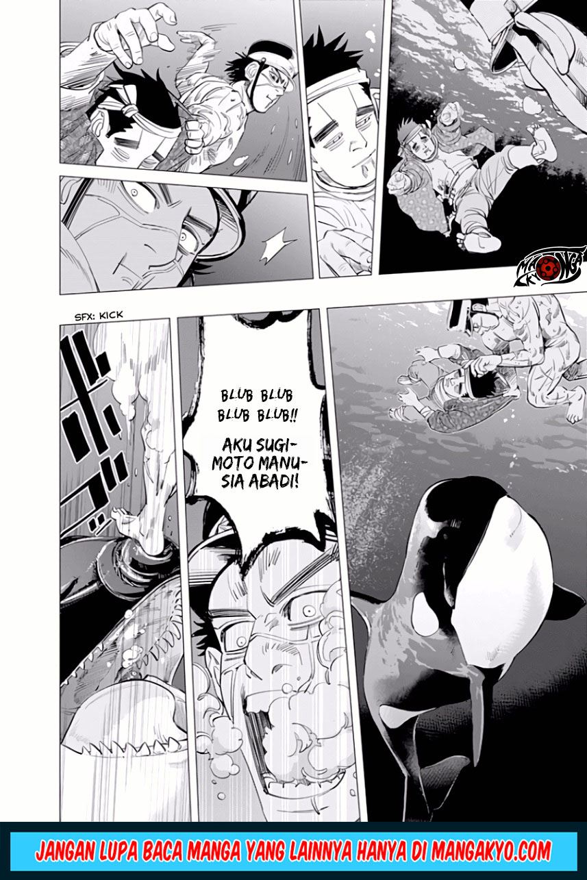 Chapter 41 - halaman 14