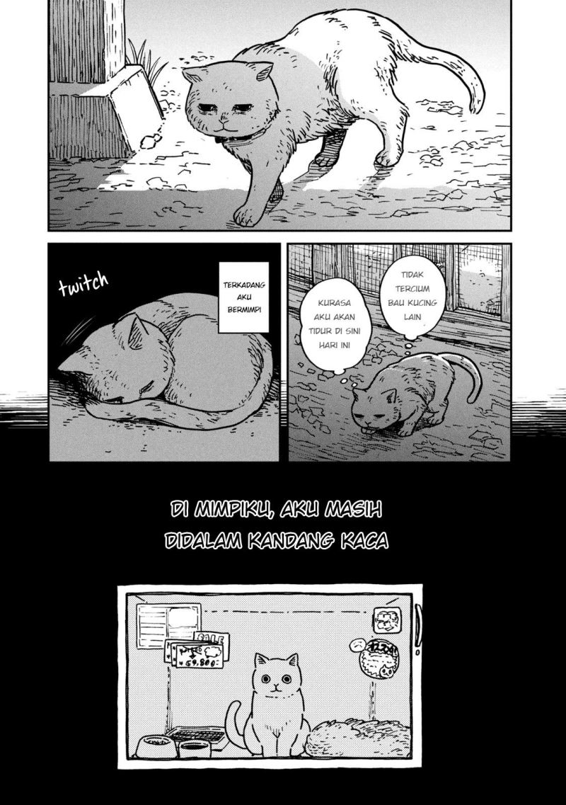 Chapter 1 - halaman 15