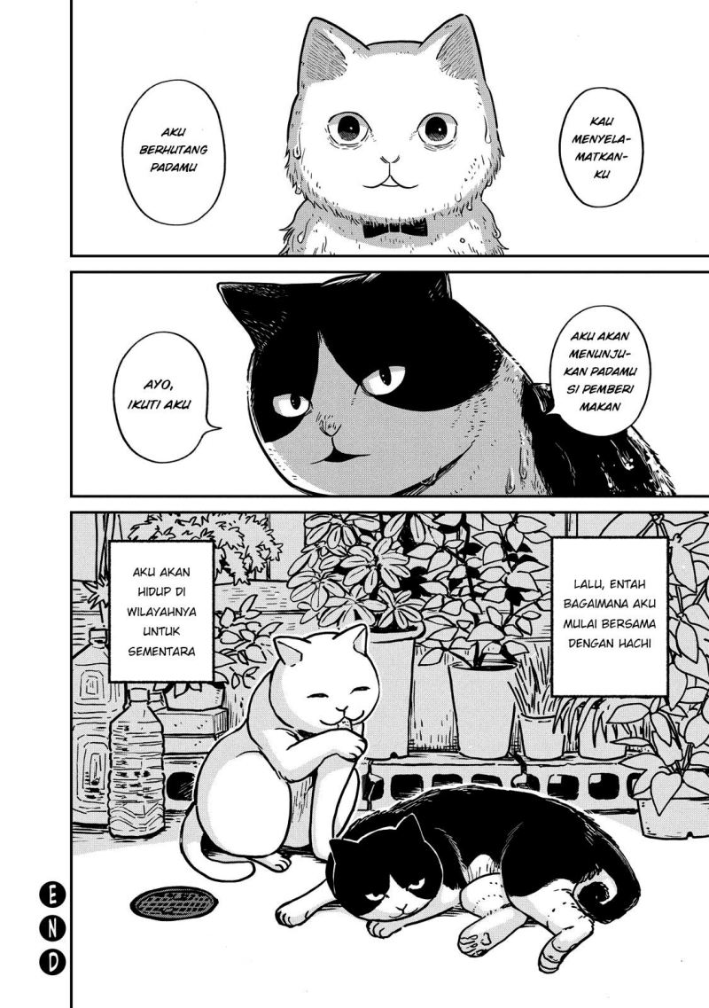 Chapter 1 - halaman 34