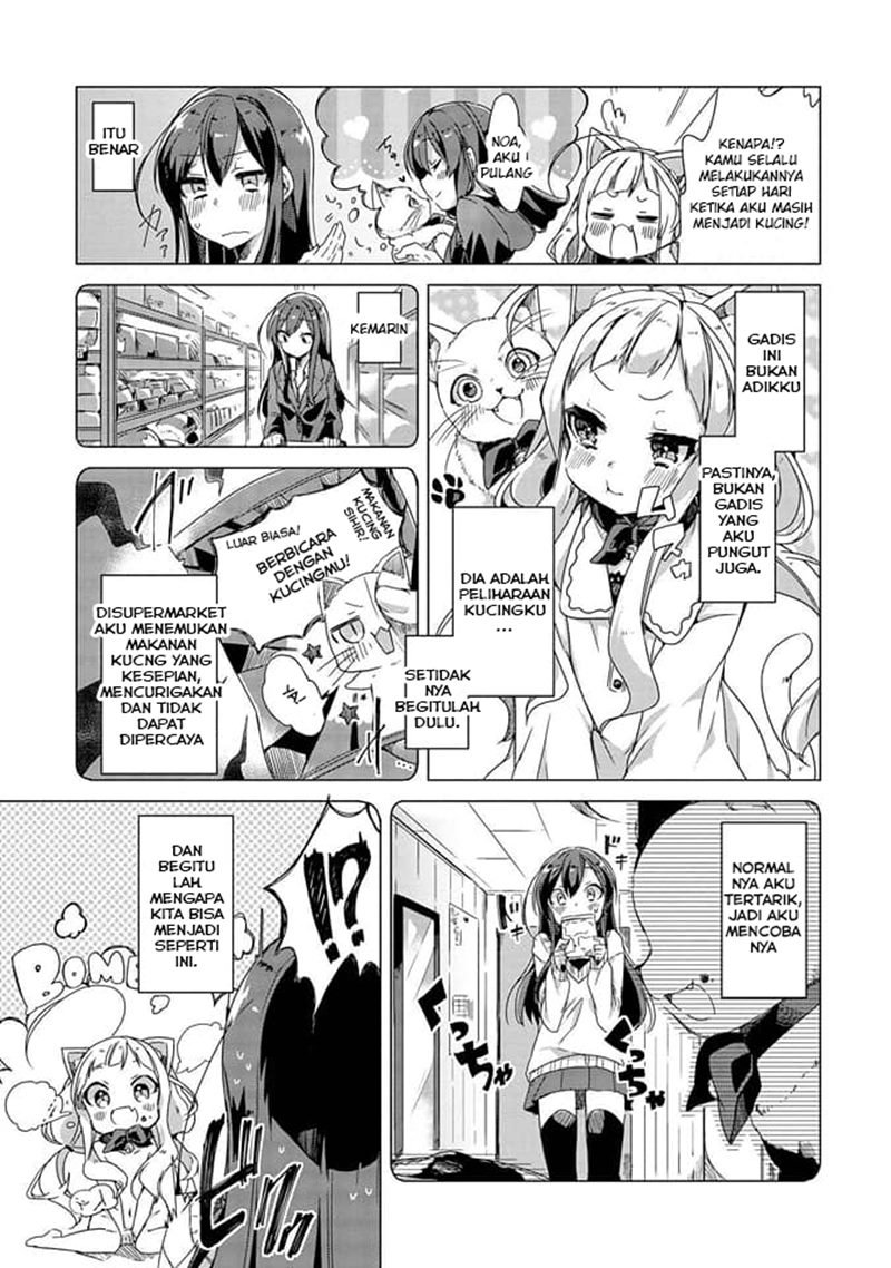 Chapter 3 - halaman 7