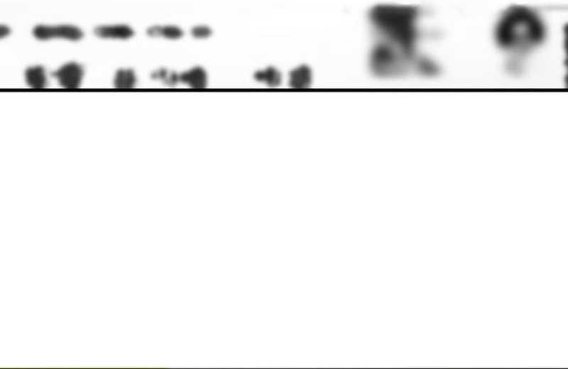Chapter 11 - halaman 69