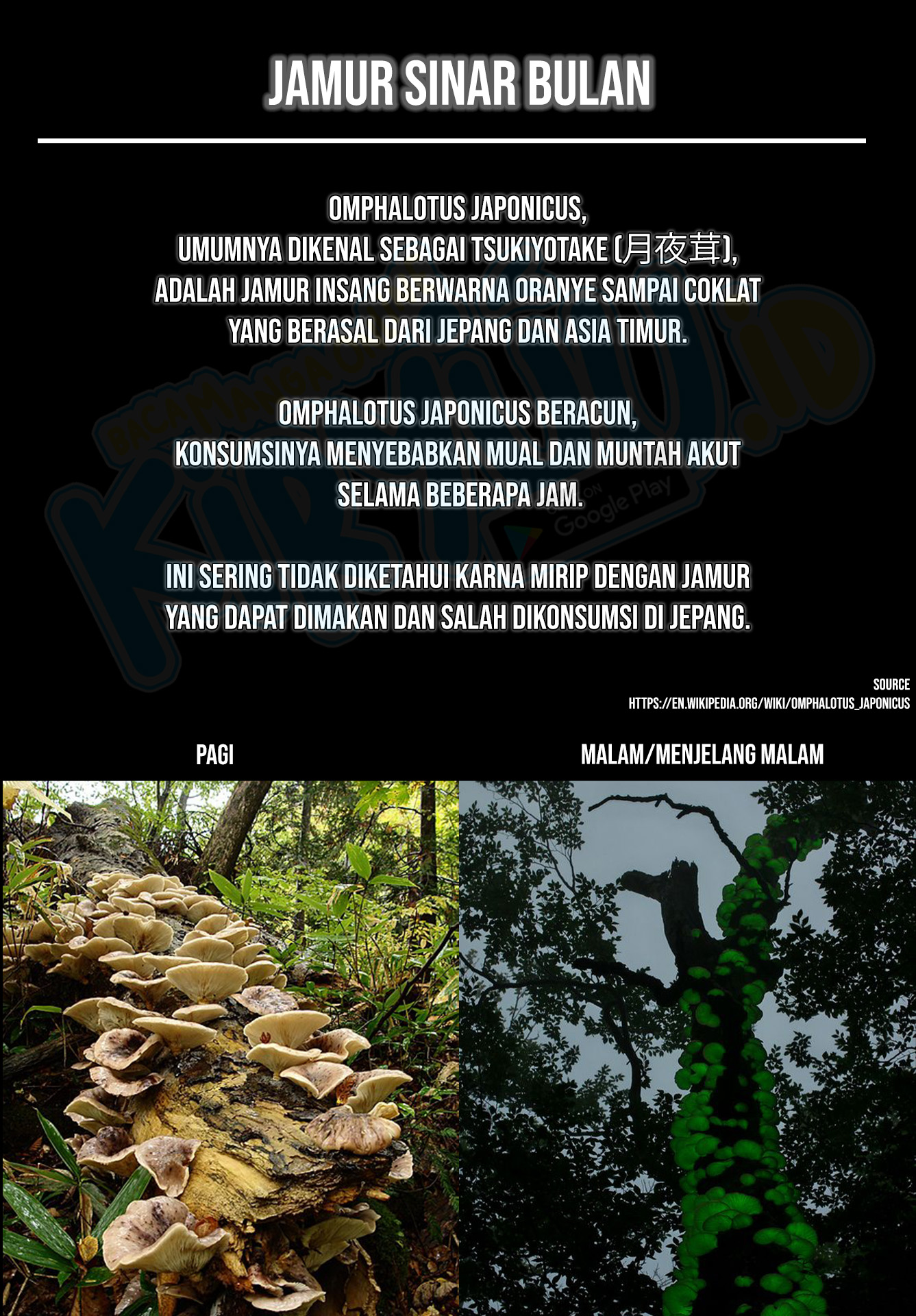 Chapter 59.2 - halaman 31