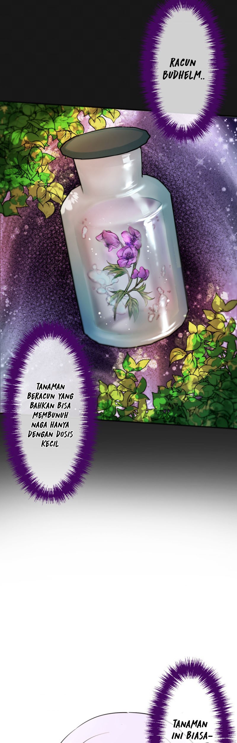 Chapter 3 - halaman 13
